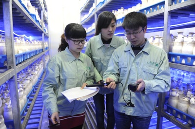 產(chǎn)業(yè)服務與技術(shù)推廣服務 驅(qū)動經(jīng)濟高質(zhì)量發(fā)展的雙引擎